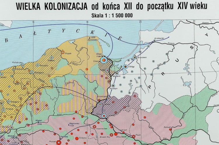 Polska dzielnicowa. Mapa ścienna na płótnie. Fragment 8