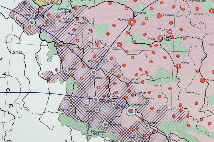 Polska dzielnicowa. Mapa ścienna na płótnie. Fragment 9