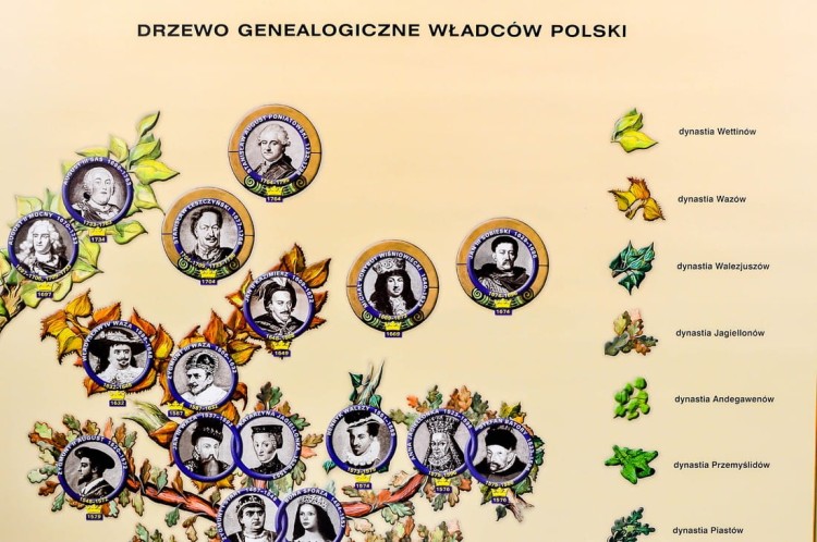 XII wieków Polski w Europie.  Drzewo genealogiczne władców NE (9).jpg