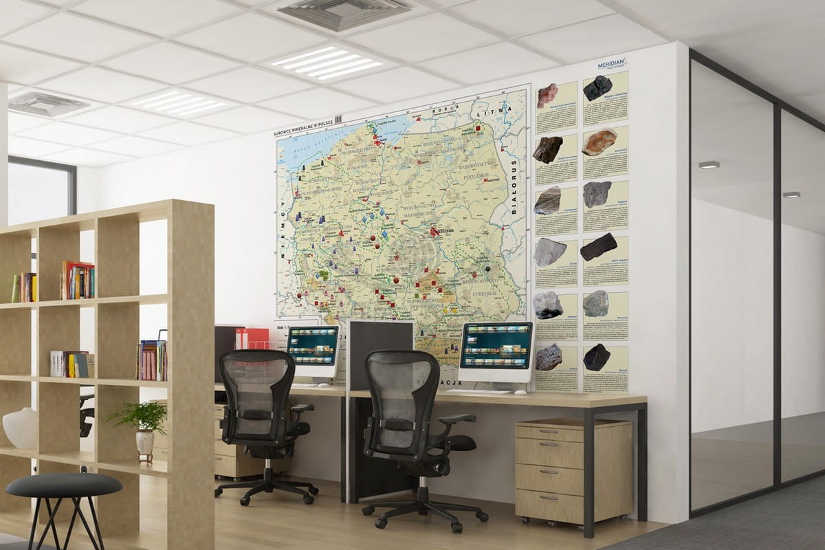 Polska. Surowce mineralne w Polsce. Fototapeta samoprzylepna. Mapa