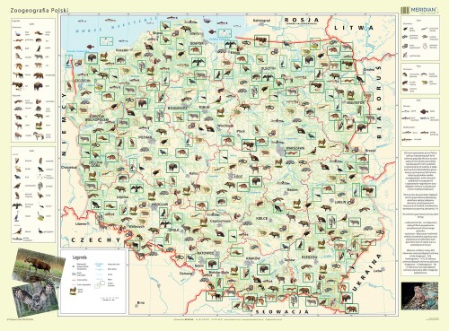 Polska Zoogeografia. Fototapeta samoprzylepna. Całość