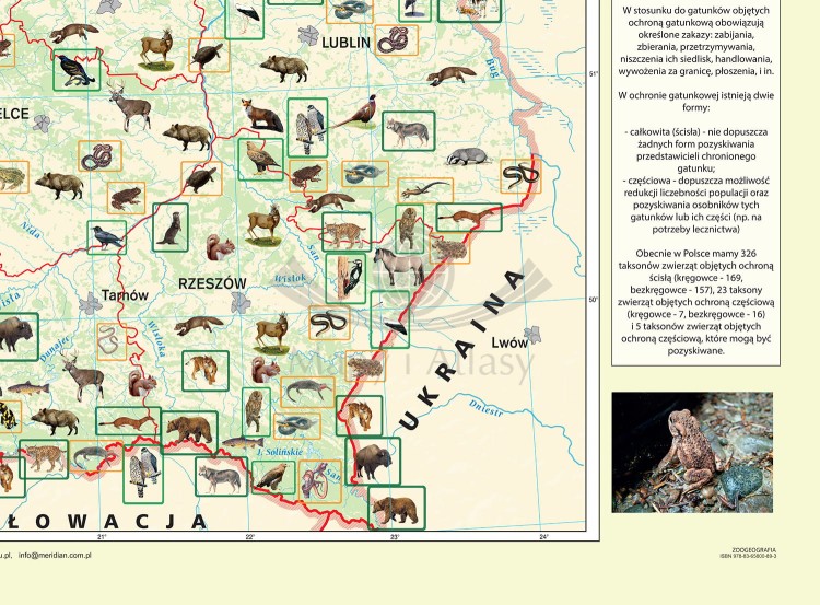 Polska Zoogeografia. Fototapeta samoprzylepna. Fragment 2