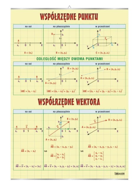 Współrzędne punktu i wektora. Plansza edukacyjna