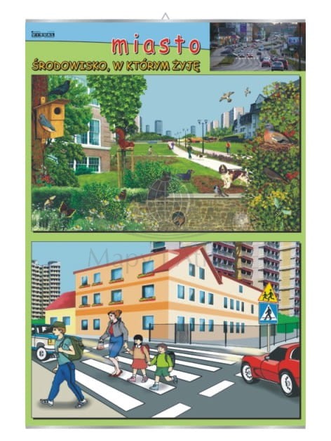 Miasto – środowisko, w którym żyje. Plansza edukacyjna