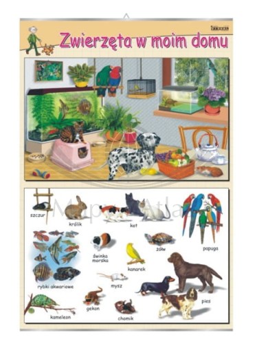 Zwierzęta w moim domu. Plansza edukacyjna
