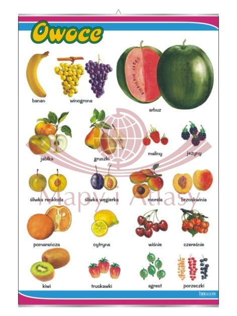 Owoce. Plansza edukacyjna
