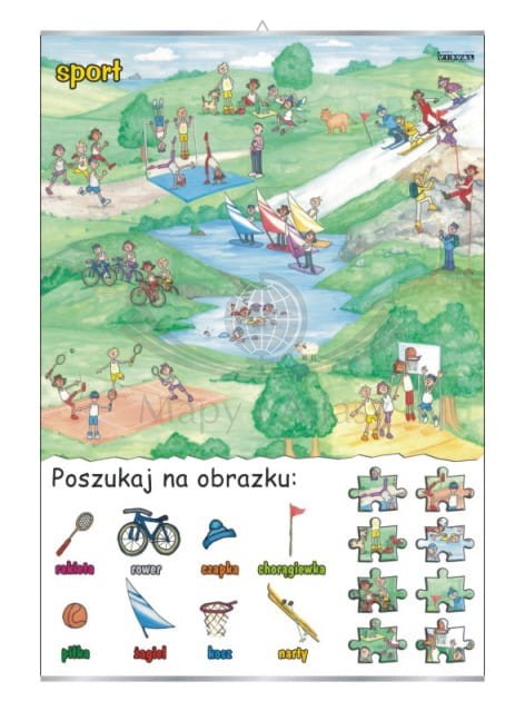 Poszukaj na obrazku – sport. Plansza edukacyjna