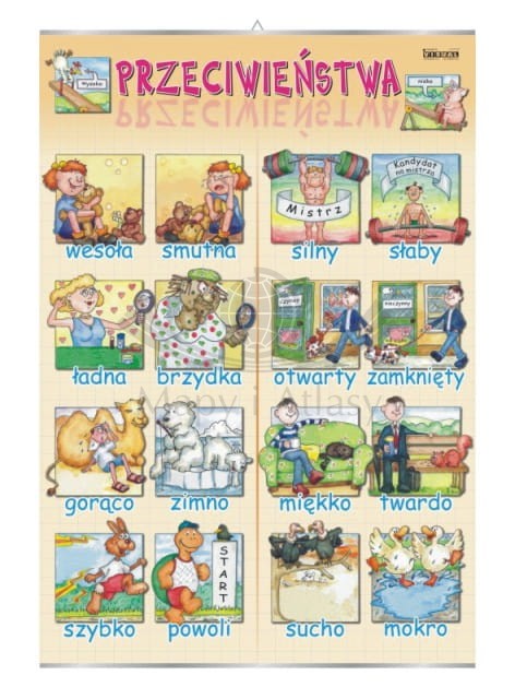 Przeciwieństwa cz. II. Plansza edukacyjna