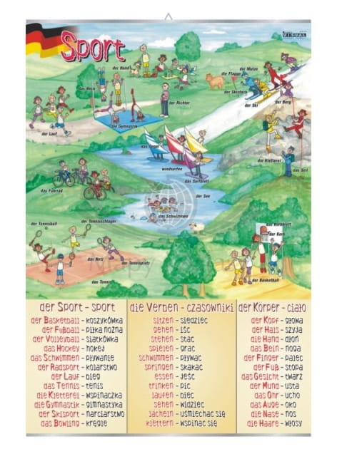 Sport. Plansza edukacyjna