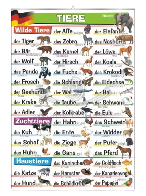 Tiere /  Zwierzęta. Plansza edukacyjna