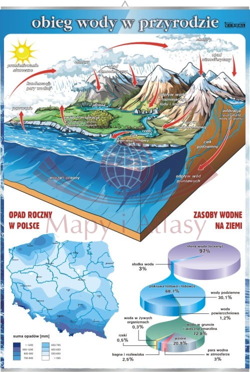 Obieg wody w przyrodzie. Plansza edukacyjna