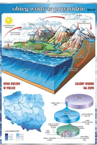 Obieg wody w przyrodzie.jpg