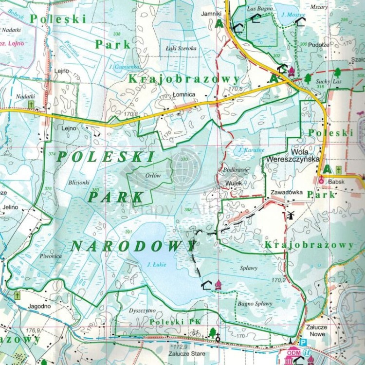 Pojezierze Łęczyńsko-Włodawskie i Dolina Tyśmienicy 1:50 000. Mapa turystyczna wydawnictwa Cartomedia. Fragment 1