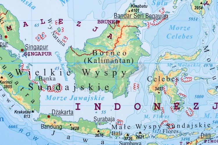 Świat 1:20 000 000. Naklejka, mapa ścienna fizyczna. Producent: Pięta. Fragment 5