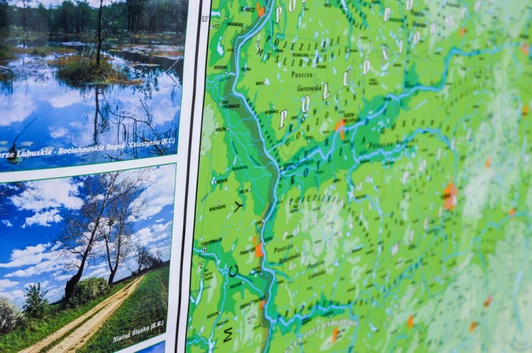 Polska mapa fizyczna, geograficzna w formie naklejki. Wersja STRONG. Skala 1:500 000 Producent: Piętka.Fragment 10
