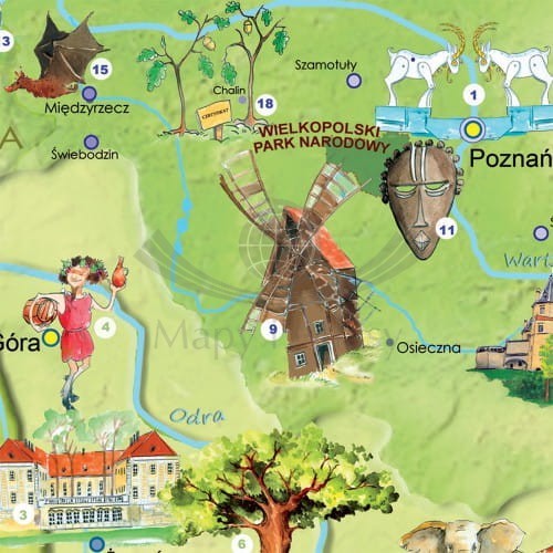 Polska Młodego Odkrywcy MIDI. Arkusz, mapa ścienna dla dzieci. Producent: EkoGraf. Fragment 6
