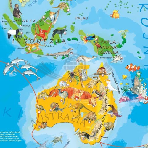 Zwierzęta świata. Arkusz, mapa ścienna dla dzieci. Producent: ArtGlob. Fragment 1