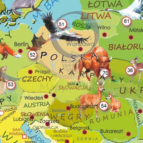 Zwierzęta świata. Arkusz, mapa ścienna dla dzieci. Producent: ArtGlob. Fragment 2