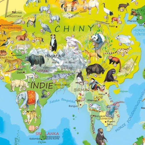 Zwierzęta świata. Arkusz, mapa ścienna dla dzieci. Producent: ArtGlob. Fragment 5