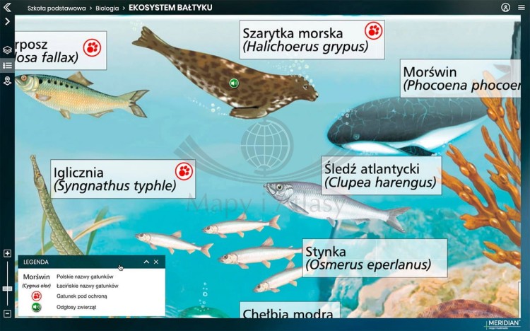 Platforma Meridian Prime: Instytucja / Szkoła (wielu użytkowników) na 12 miesięcy. Atlas on-line. Zrzut ekranu 2 ekosystem Bałtyku