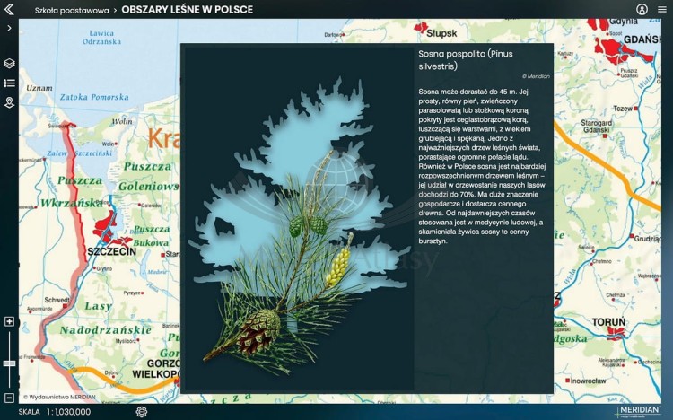 Platforma Meridian Prime: Instytucja / Szkoła (wielu użytkowników) na 12 miesięcy. Atlas on-line. Zrzut ekranu 12 obszary leśne