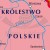 Królestwo Polskie za Kazimierza Wielkiego 1333-1370. Szkolna mapa ścienna. Fragment