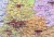 Polska 1:650 000. Mapa ścienna administracyjna wydawnictwa Meridian. Fragment 5