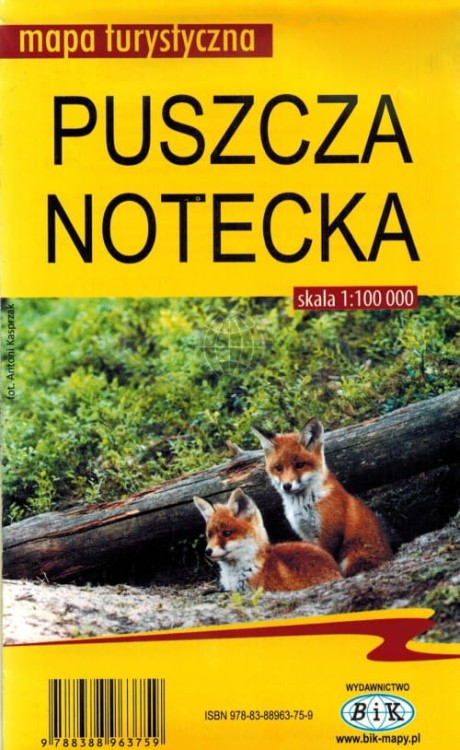 Puszcza Notecka. Mapa turystyczna wydawnictwa BiK. Okładka