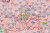 Polska 1:500 000. Mapa kodowa w ramie wydawnictwa Piętka. Fragment 1