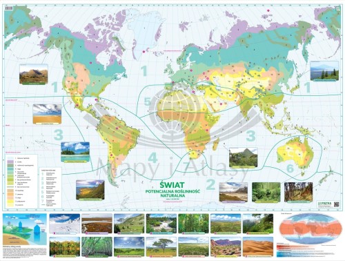 Roślinność na świecie. Mapa szkolna