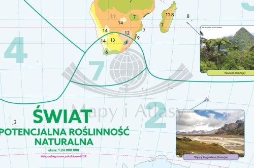 Roślinność na świecie. Mapa szkolna. Fragment 1