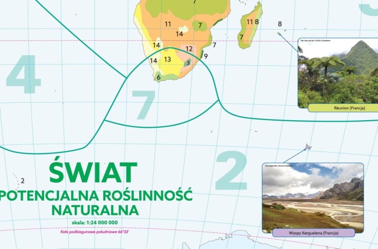 Roślinność na świecie. Mapa szkolna. Fragment 1