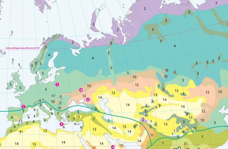 Roślinność na świecie. Mapa szkolna. Fragment 2