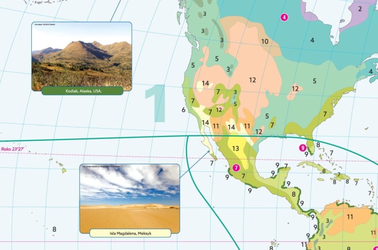 Roślinność na świecie. Mapa szkolna. Fragment 3
