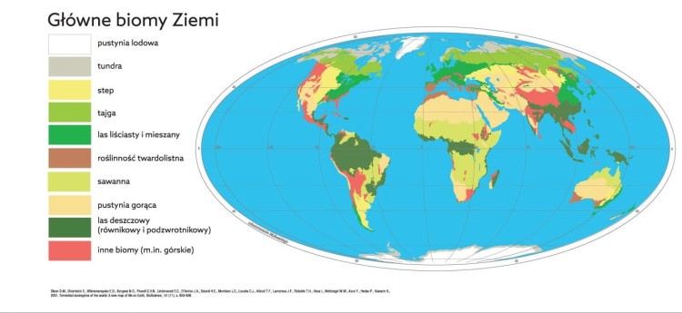 Świat strefy klimatyczne. Mapa szkolna. Główne biomy Ziemi