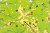Europa. Mapa ścienna ukształtowanie powierzchni. Nowa Era. Fragment 1