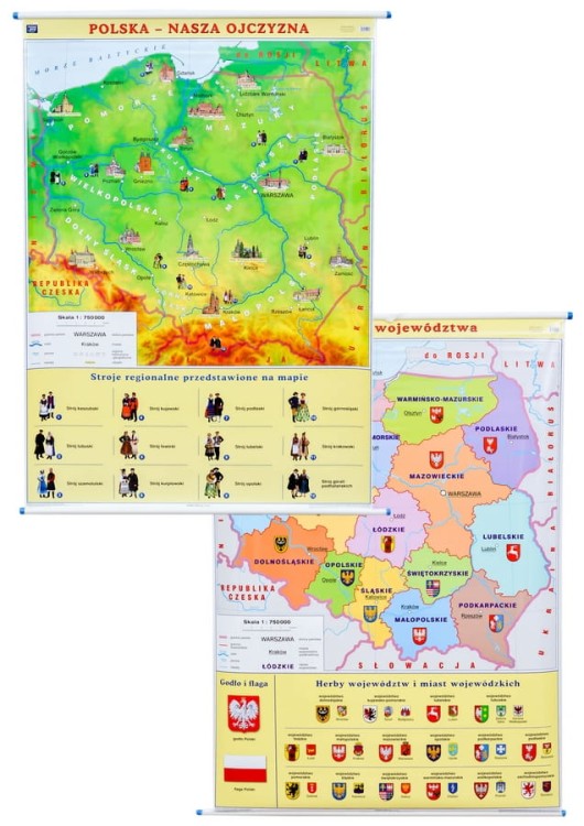 Polska. Dwustronna mapa ścienna. Nasza ojczyzna / Województwa. Nowa Era