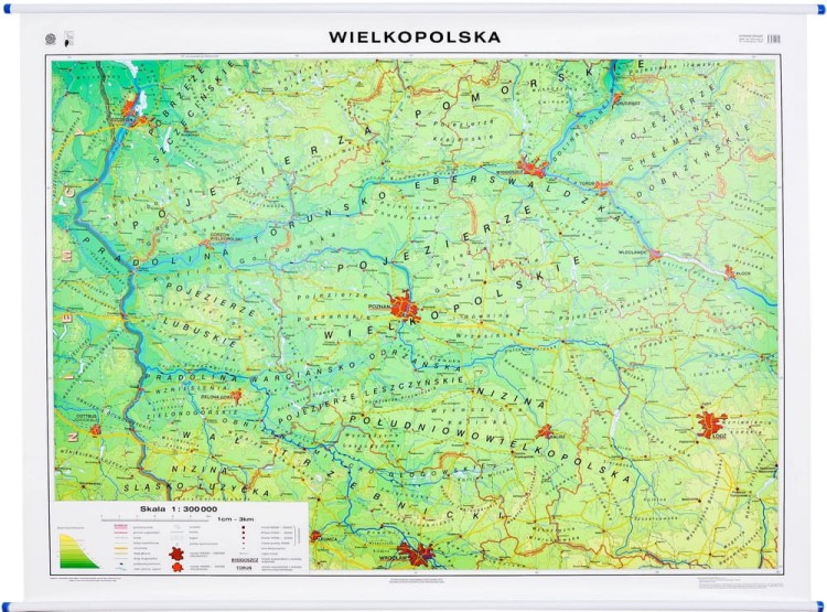 Wielkopolska. Mapa ścienna fizyczna. Nowa Era