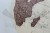 Globus antyczny 32 cm. Drewniana stopka. Fragment 1