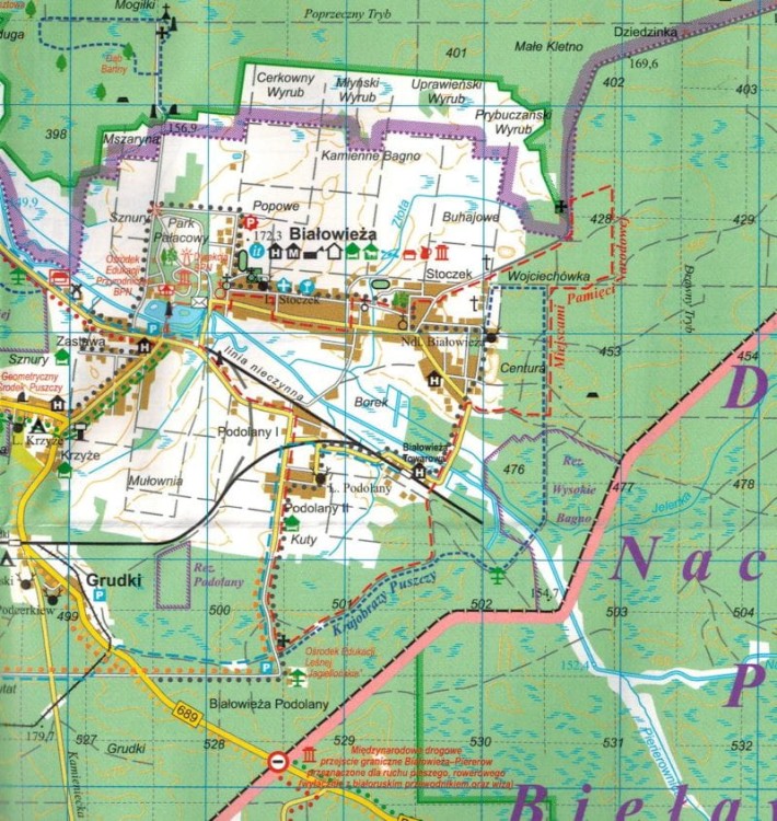 Hajnówka 1:10 000. Powiat Hajnowski, Białowieża, Puszcza Białowieska. Plan miasta / Mapa turystyczna wydawnictwa  TD Mapy. Fragment 3