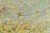 Polska plastyczna 1 800 000 fragment 2 Litografia.jpg