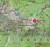 Worthersee, Karawanken West. Wodoodporna mapa turystyczna 61 wydawnictwa Kompass.  Fragment 1