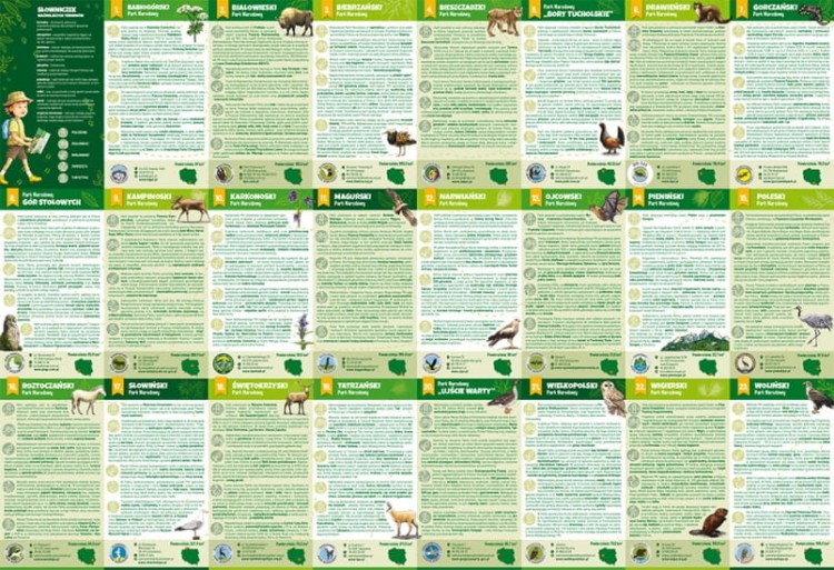 Polska. Parki Narodowe. Składana mapa dla dzieci wydawnictwa Galileos. Druga strona