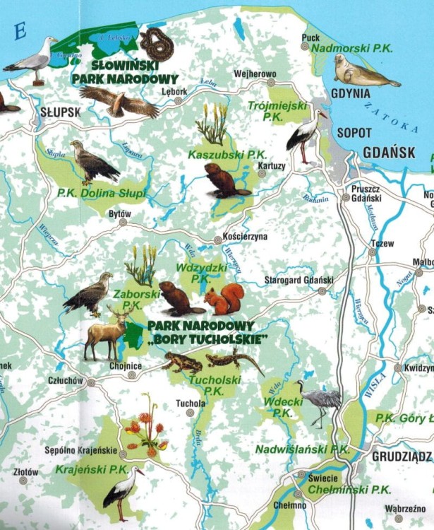 Polska. Parki Narodowe. Składana mapa dla dzieci wydawnictwa Galileos. Fragment 1