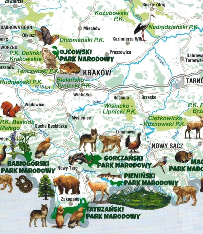 Polska. Parki Narodowe. Składana mapa dla dzieci wydawnictwa Galileos. Fragment 2