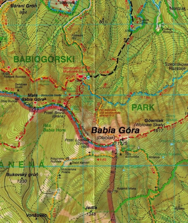 Beskid Żywiecki 1:50 000. Laminowana mapa turystyczna wydawnictwa WiT. Fragment 1