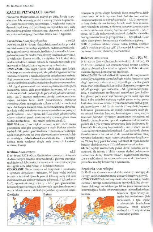 Ptaki. Przewodnik Collinsa. Przykładowa strona 1