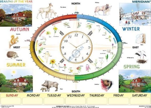 Seasons of the year. Plansza edukacyjna w języku angielskim. Drewniane półwałki