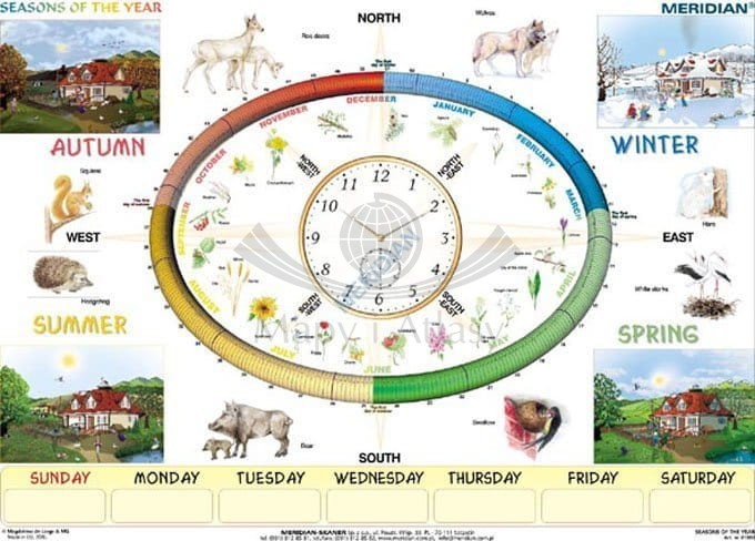 Seasons of the year. Plansza edukacyjna w języku angielskim. Drewniane półwałki