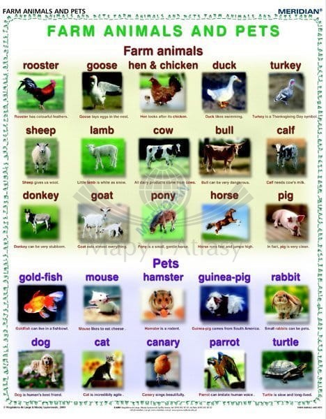Farm animals and pets / Zwierzęta hodowlane i domowe. Plansza edukacyjna w języku angielskim. Drewniane półwałki